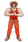 andore-jr-finalfight-art.jpg (441368 bytes)