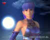 ayane-teamninja.jpg (465347 bytes)