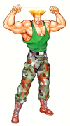 guile-sf2-original-artwork.png (470182 bytes)