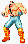 haggar-ff2.png (272967 bytes)