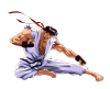 ryu-sf2-animated-movie-flying-kick.png (1512702 bytes)