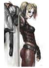 harleyquinn-arkhamcity.jpg (63500 bytes)