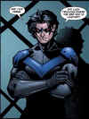 nightwing-comic.JPG (63902 bytes)