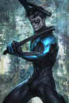 nightwing-paint2.jpg (212710 bytes)