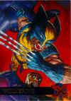 wolverine-1995.JPG (79740 bytes)