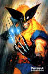 wolverine-marvel-card-art-by-sienkiewicz.jpg (366244 bytes)