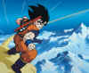 goku-dbzworld.jpg (432188 bytes)