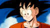 goku-face-dragonball3.jpg (58643 bytes)