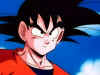 goku-face-dragonball.jpg (26191 bytes)