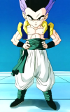 gotenks-dragonball.png (429775 bytes)