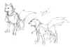 koromaru-persona3-rough-sketches2.jpg (42106 bytes)