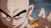 krillin-face.png (1058830 bytes)