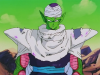 piccolo-battle-damage.png (319816 bytes)