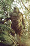 swampthing-1990-tvseries.jpg (57357 bytes)