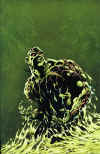 swampthing-green.jpeg (755567 bytes)