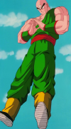 tien-shinhan-dragonballz.png (1001250 bytes)