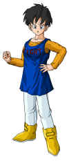 videl-dbz-fight-costume.jpg (118833 bytes)