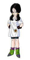 videl-dragonballz-artwork.jpg (80384 bytes)