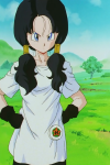 videl-dragonballz.png (1102013 bytes)