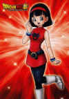 videl-red-costume.jpg (70356 bytes)