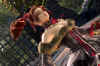 amy-soulcalibur-lostswords-screenshot2.jpg (89646 bytes)