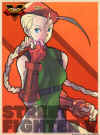 cammy-sfv-profile-art2.jpg (90382 bytes)