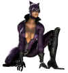 catwoman-mkvsdc-white.jpg (82089 bytes)