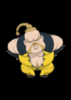 rufus-ultra-sf4-chib.png (60869 bytes)