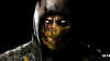 scorpion-mkx-damage1.jpg (141374 bytes)