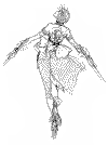 shiki-samuraishodown64-sketch9.png (71204 bytes)