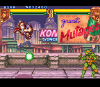 tmnt-tournament-fighters-snes-screenshot13.png (24030 bytes)